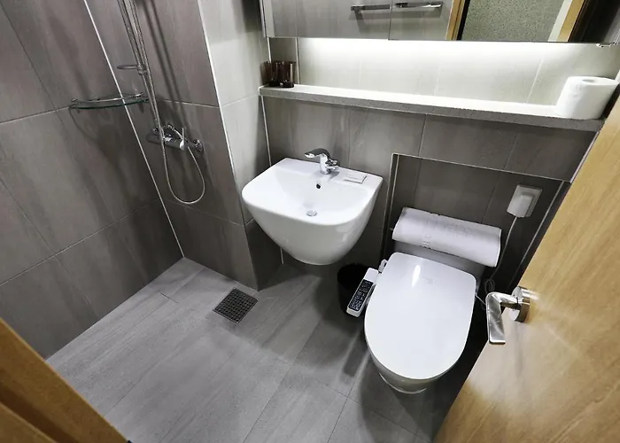 The Classic Myeongdong Hotel 4*